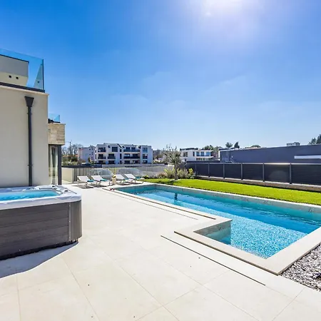 Designer Limes - Pool, & Games