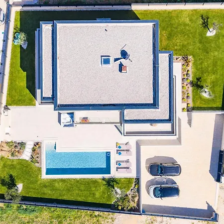 Designer Limes - Pool, & Games *