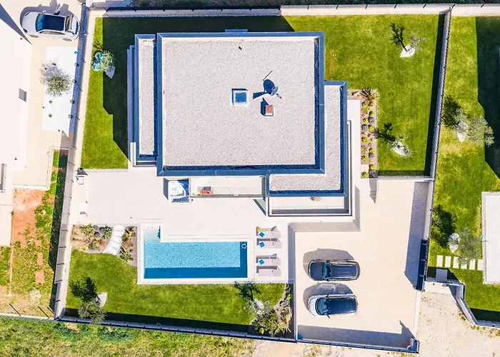 Designer Limes - Pool, & Games *